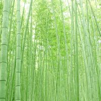 無垢材は反る？水に弱い？ 竹製の無垢材にはあてはまりません。