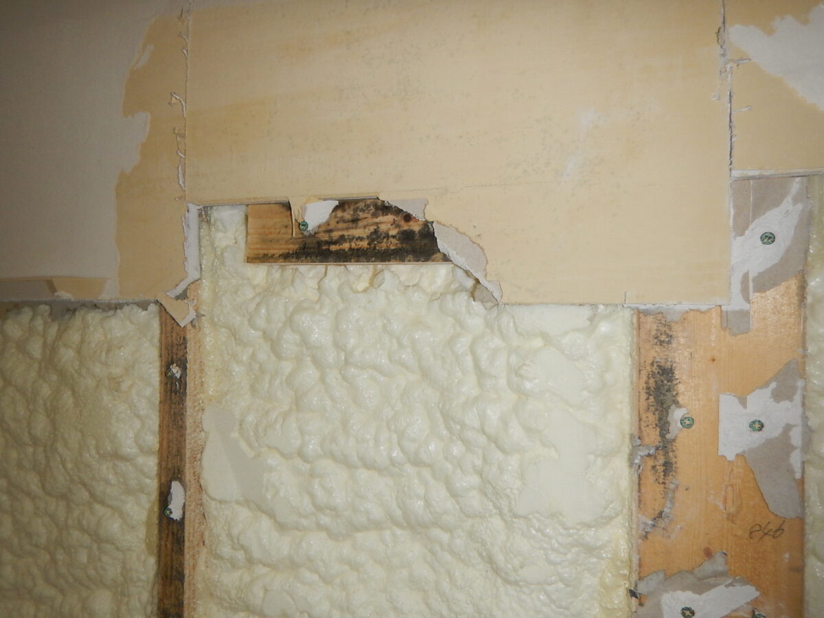 家の中がカビ臭い？！原因は壁の中かも。壁の中を剥がして画像あり